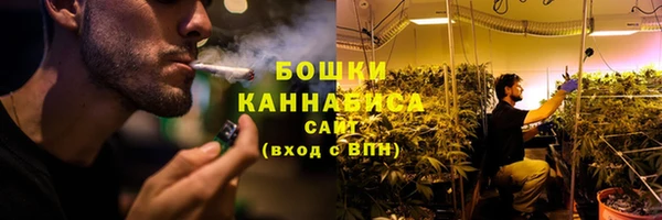 PSILOCYBIN Заволжск