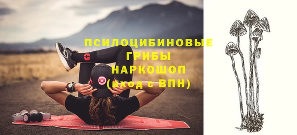 не бодяженный Чегем