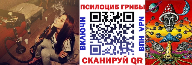Галлюциногенные грибы Psilocybe  Южно-Сахалинск 
